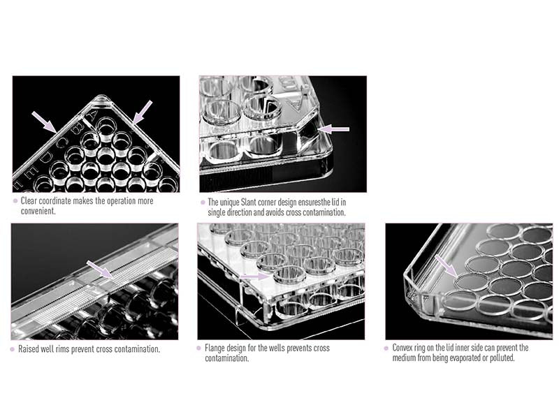 Kangjian Multi Well Plate (1)