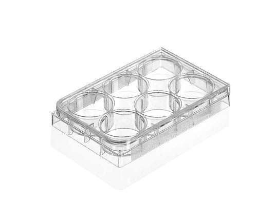 Kangjian Multi Well Plate  (1)