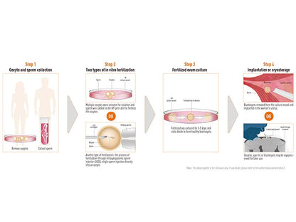 Kangjian IVF Multi-use Petri Dish Ø35×11 (Dish) (1)