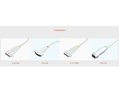3. Acclarix LX3 VET Veterinary Cart-based Color Ultrasound (1)