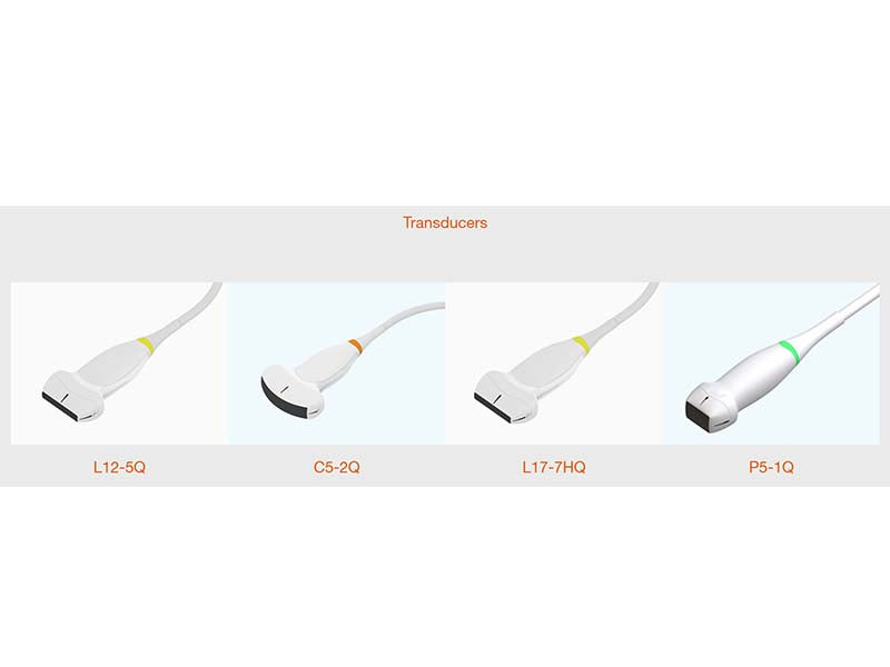 4. Acclarix LX2 VET Veterinary Cart-based Color Ultrasound (1)