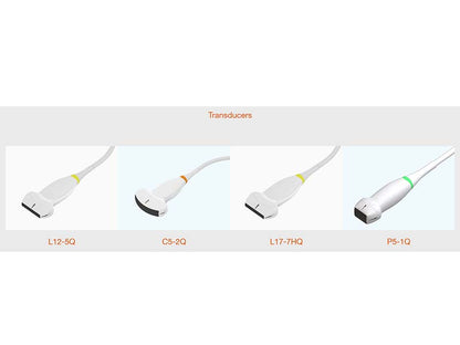 4. Acclarix LX2 VET Veterinary Cart-based Color Ultrasound (1)