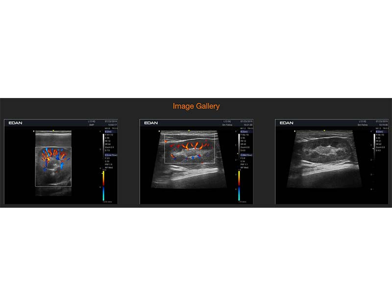 5. Acclarix AX8 VET Veterinary Portable Ultrasound (1)