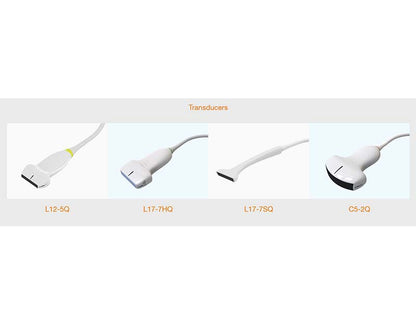 5. Acclarix AX8 VET Veterinary Portable Ultrasound (1)