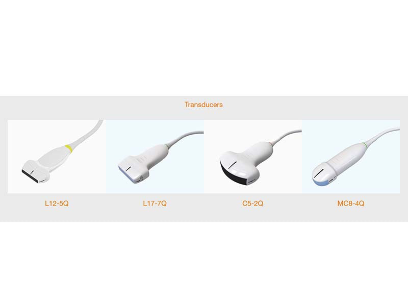 6. Acclarix AX3 VET Veterinary Portable Ultrasound (1)