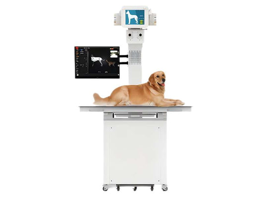 Vet DR X-ray Machine GHM-MAX01